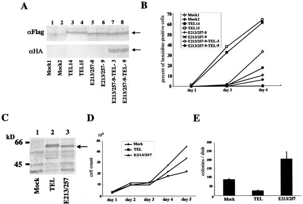 FIG. 7.