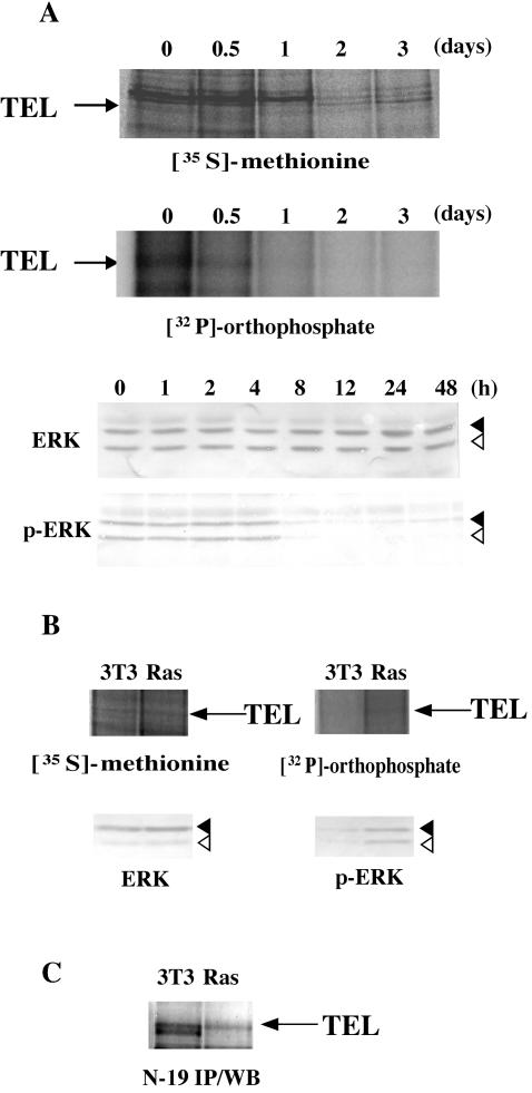 FIG. 8.