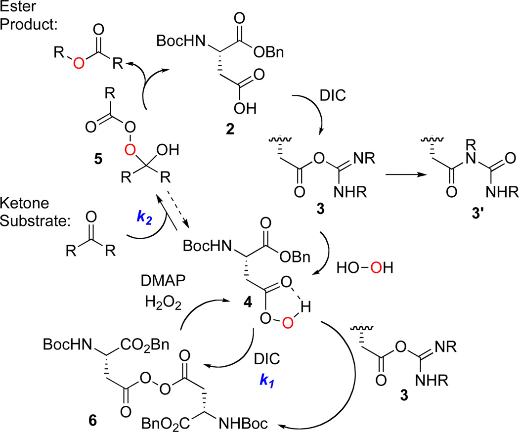 Scheme 2