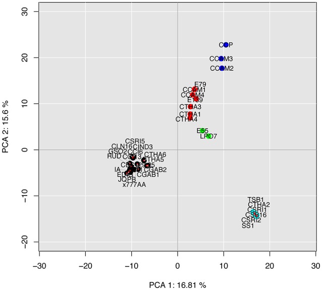 Figure 6