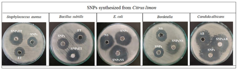 Figure 6