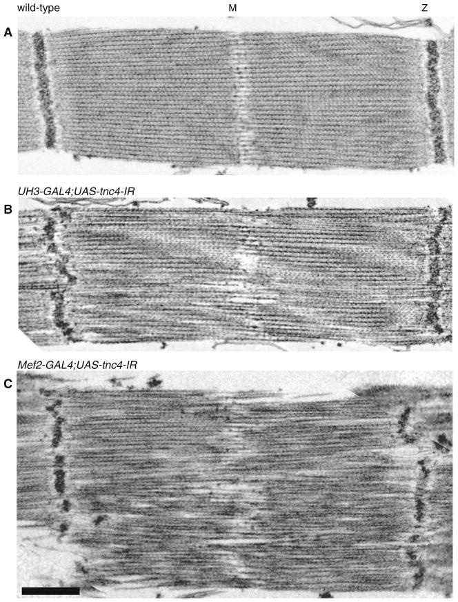 Fig. 4