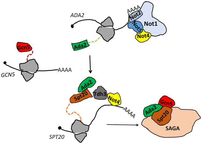 Figure 9.