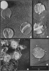 180-1