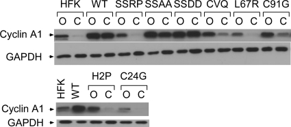 Fig. 7.