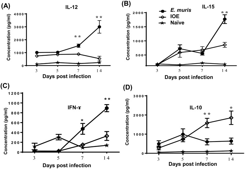 Fig 13