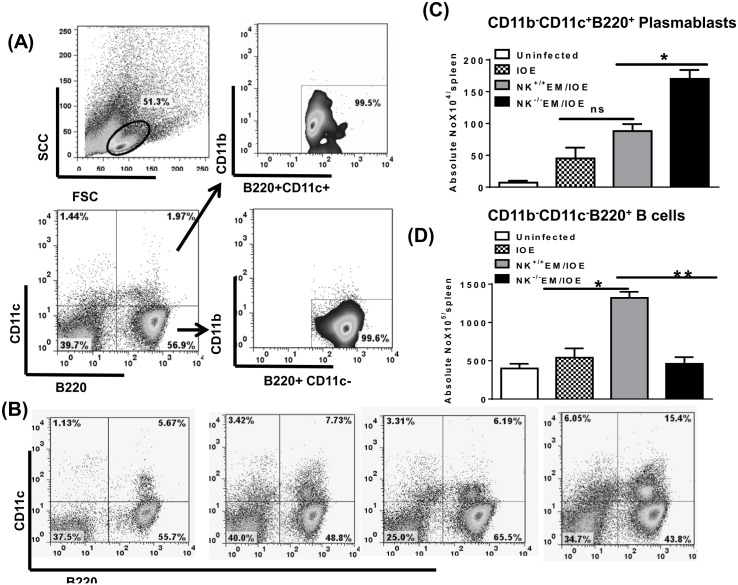 Fig 11