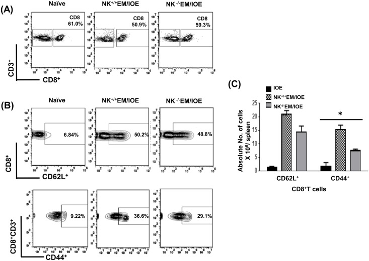 Fig 6