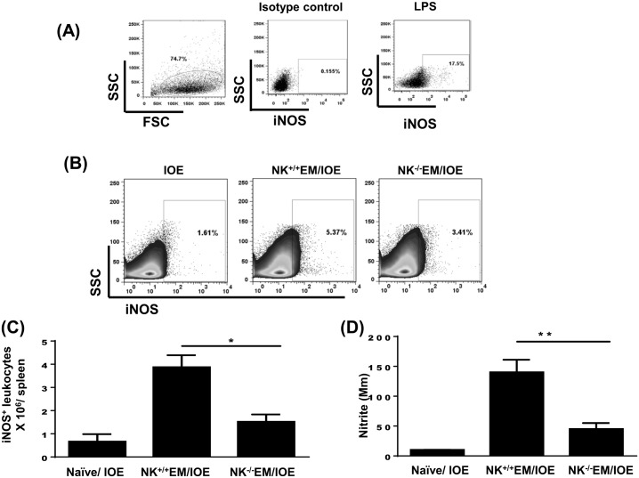 Fig 10