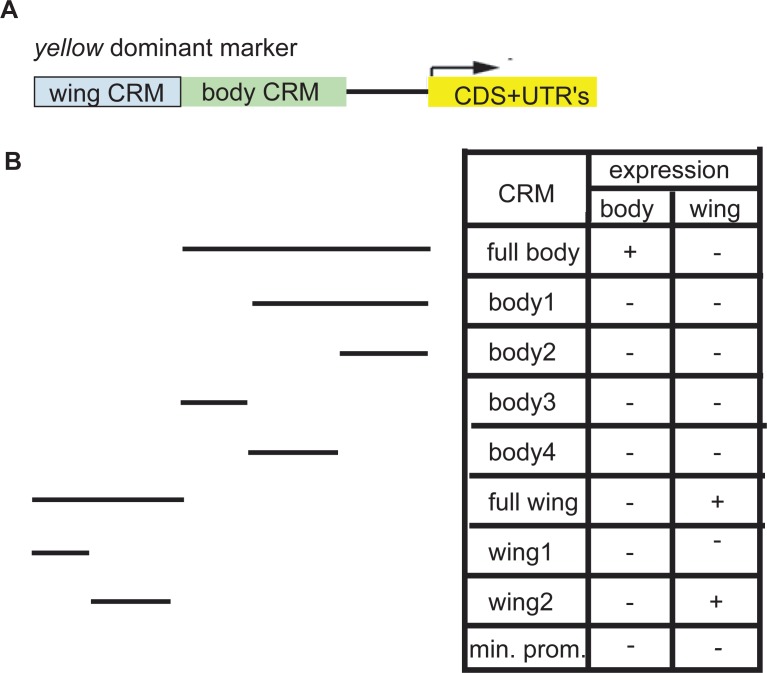 Figure 5—figure supplement 2.