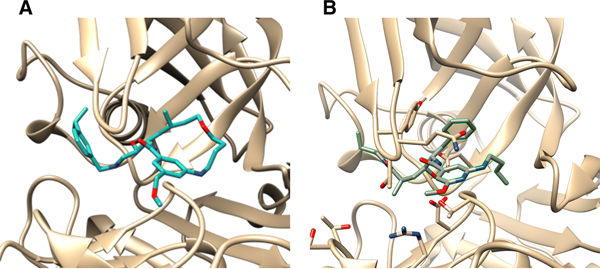 Figure 1: