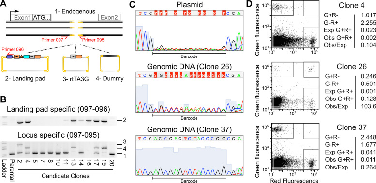 Figure 2.