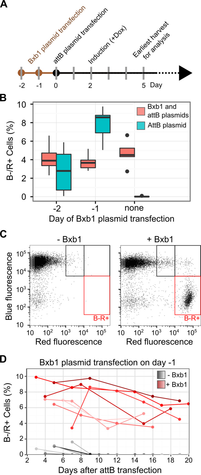 Figure 3.