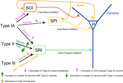 Fig. 13.