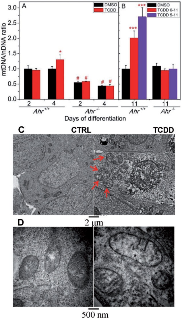 FIG. 6.