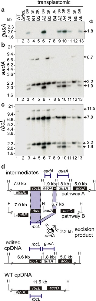 Fig. 4