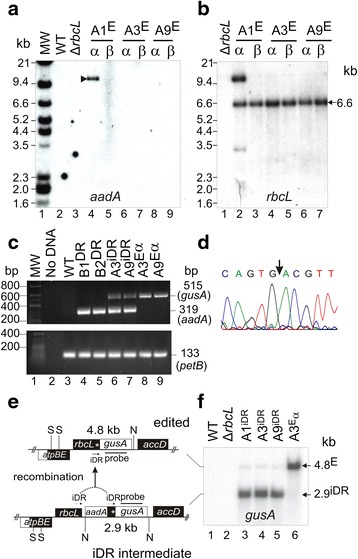 Fig. 6