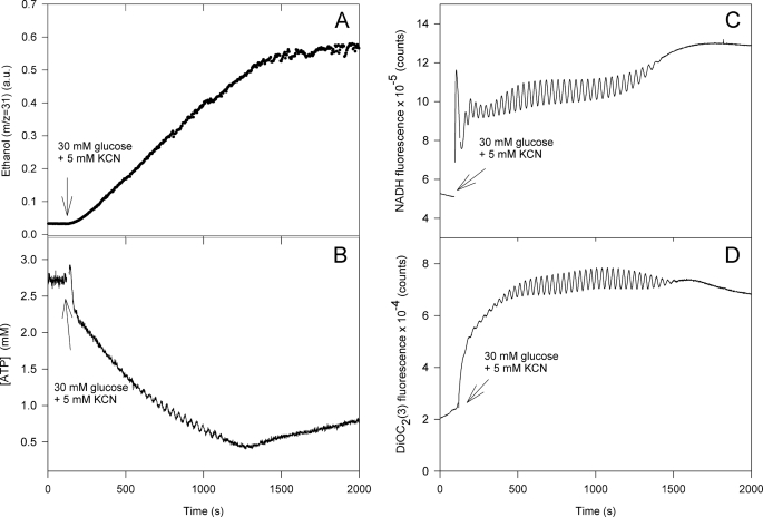 FIGURE 3.