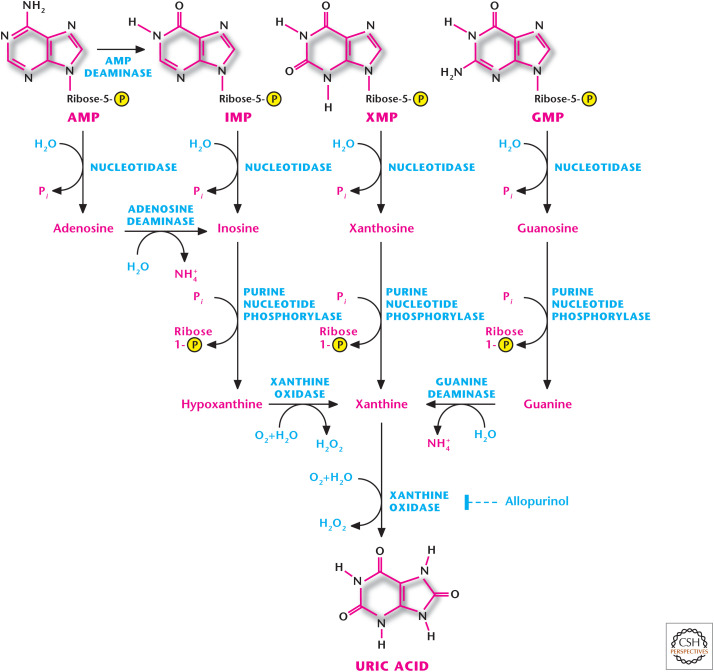 Figure 7.