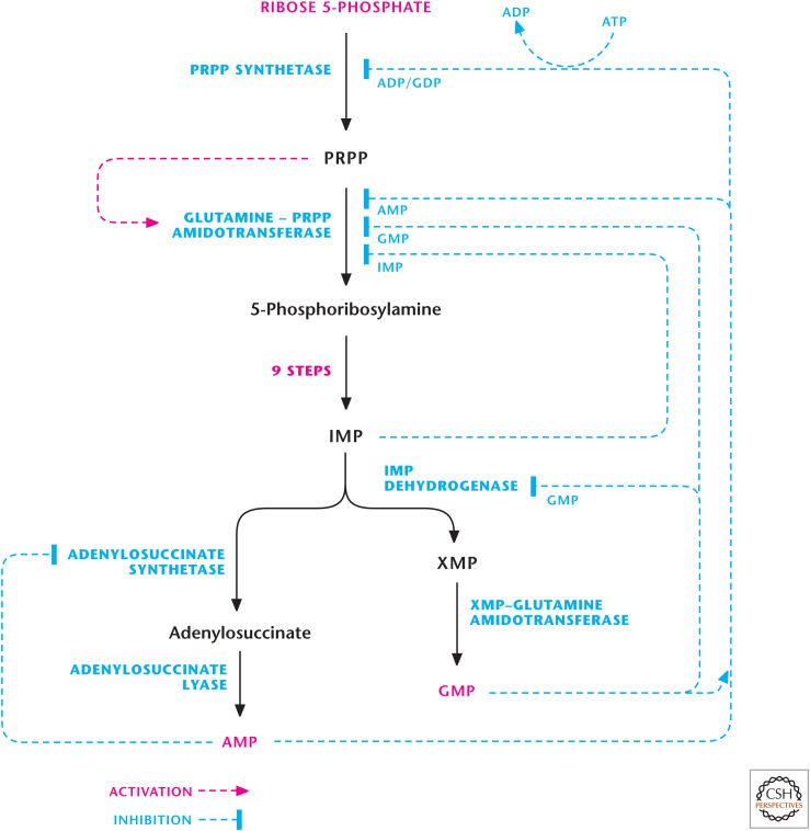 Figure 6.