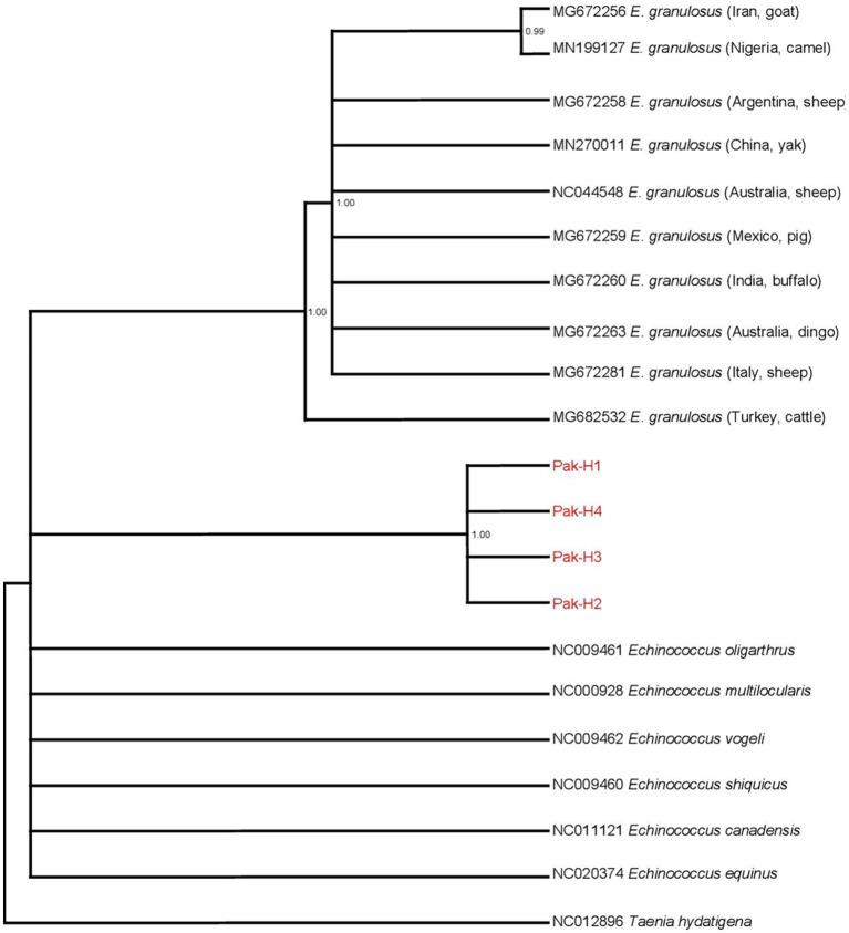 Figure 2