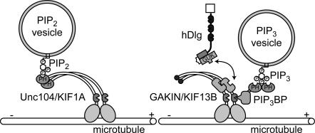 Figure 9.