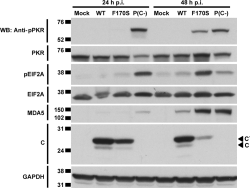 FIG. 6.