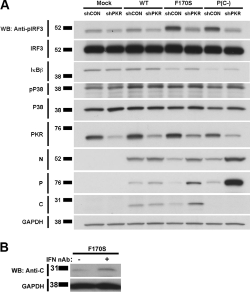 FIG. 8.