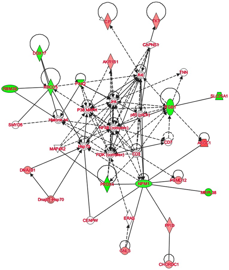 Figure 5.