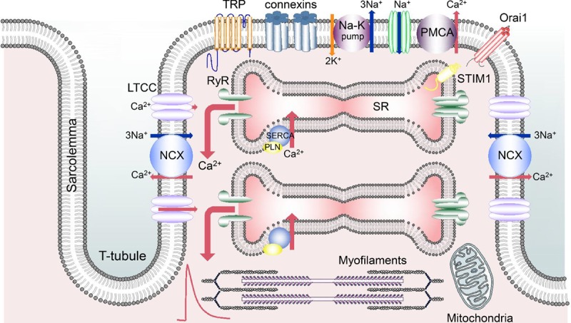 Figure 1.