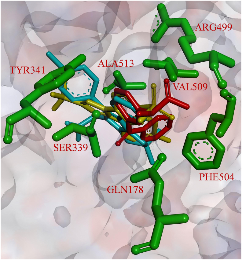 Figure 3