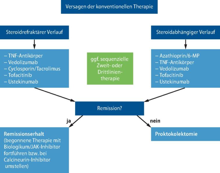 graphic file with name 15036_2020_1396_Fig3_HTML.jpg