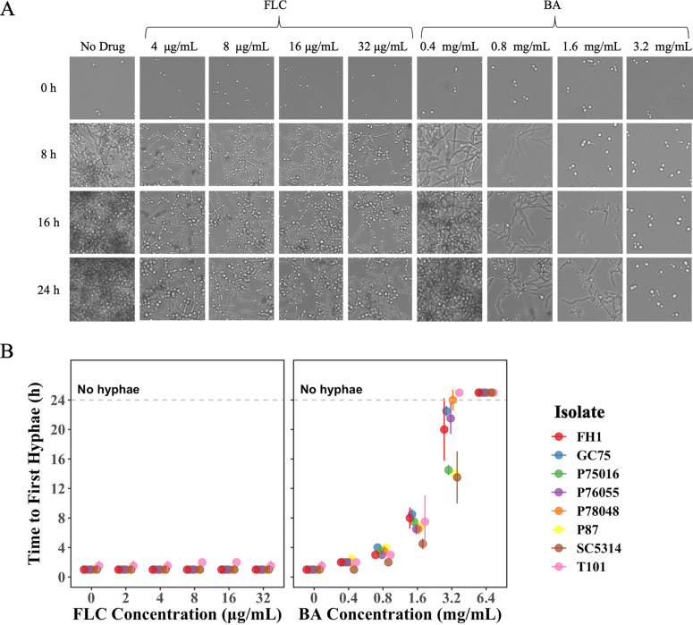 FIG 3