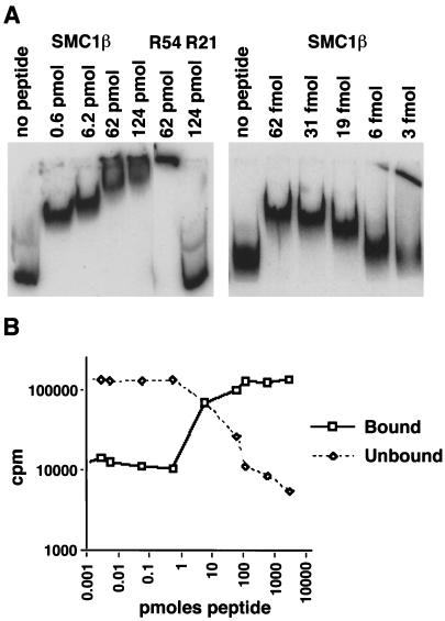 FIG. 8