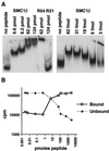 FIG. 8