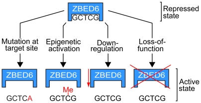 Figure 7