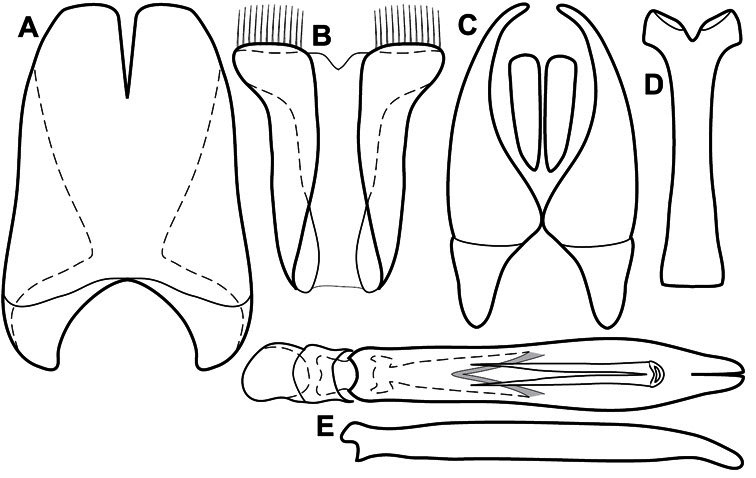 Figure 100.