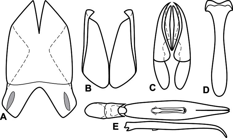 Figure 27.