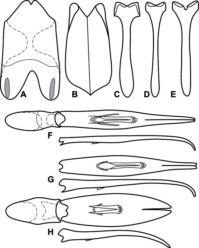 Figure 10.