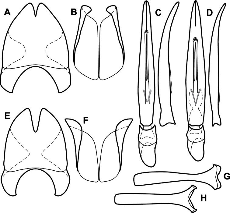 Figure 75.