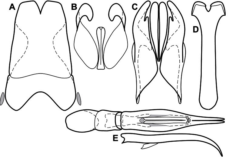 Figure 104.