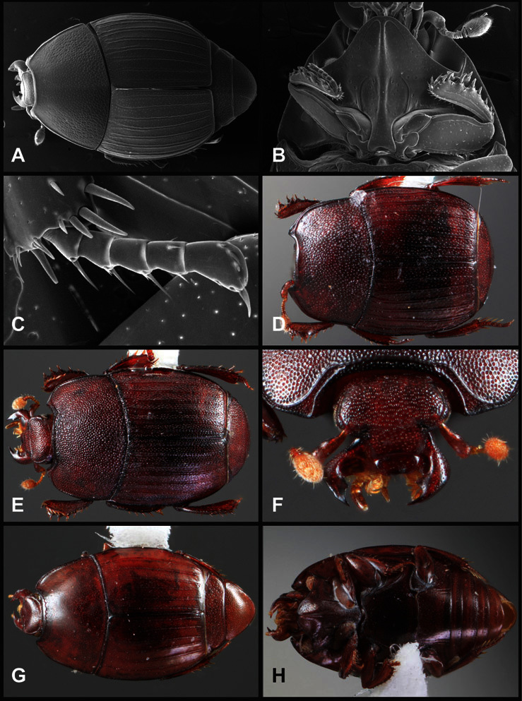 Figure 24.