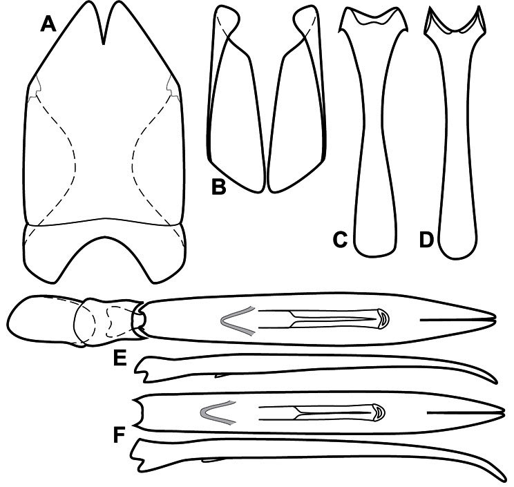 Figure 29.