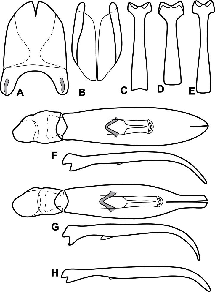 Figure 12.