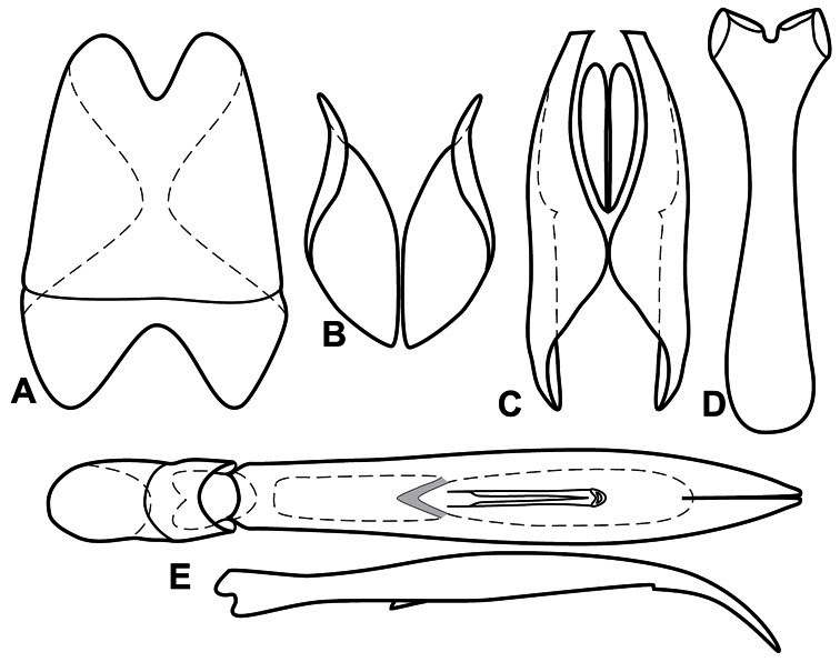 Figure 25.