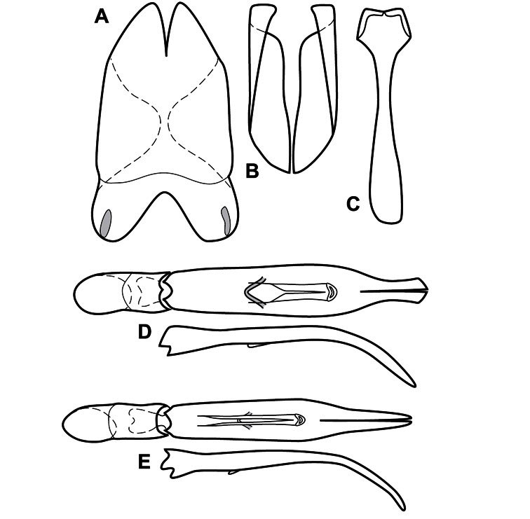 Figure 14.