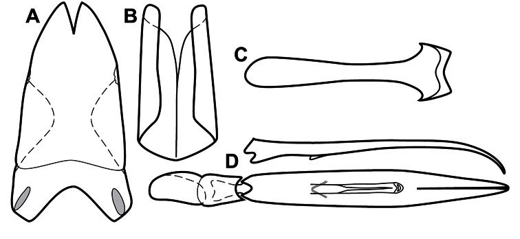 Figure 16.