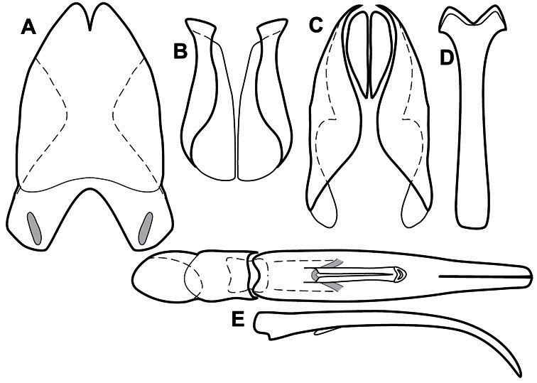 Figure 52.