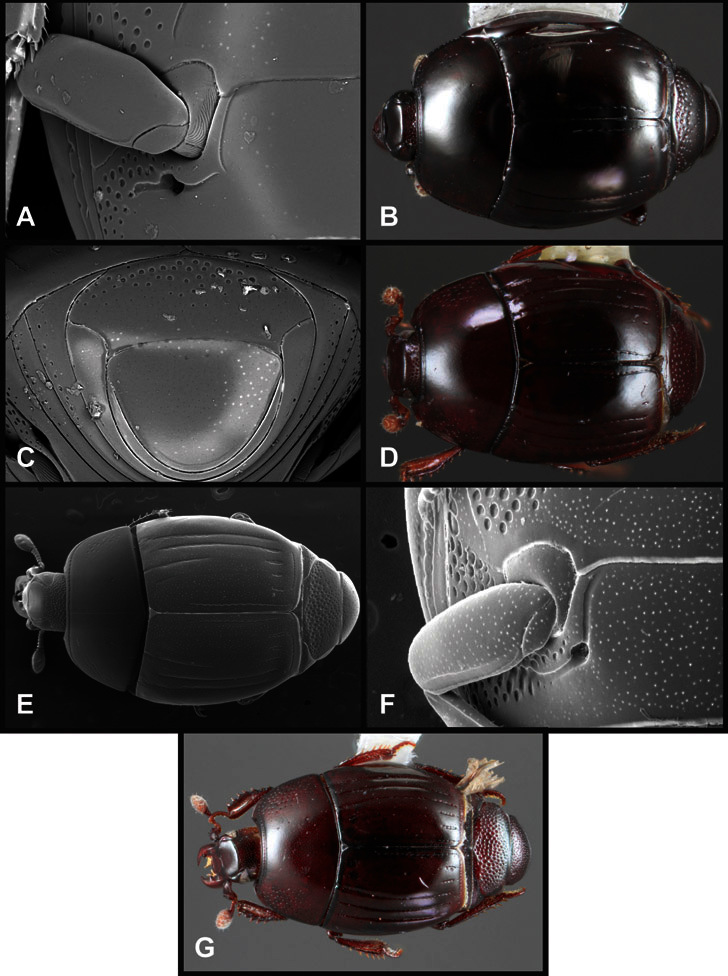 Figure 73.