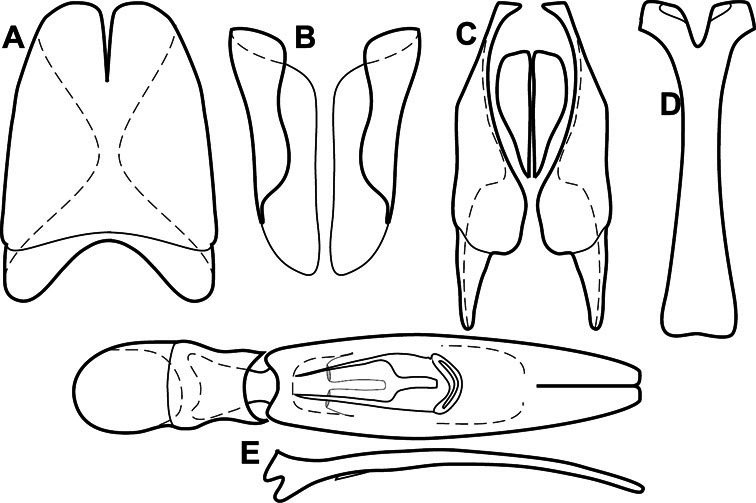 Figure 87.